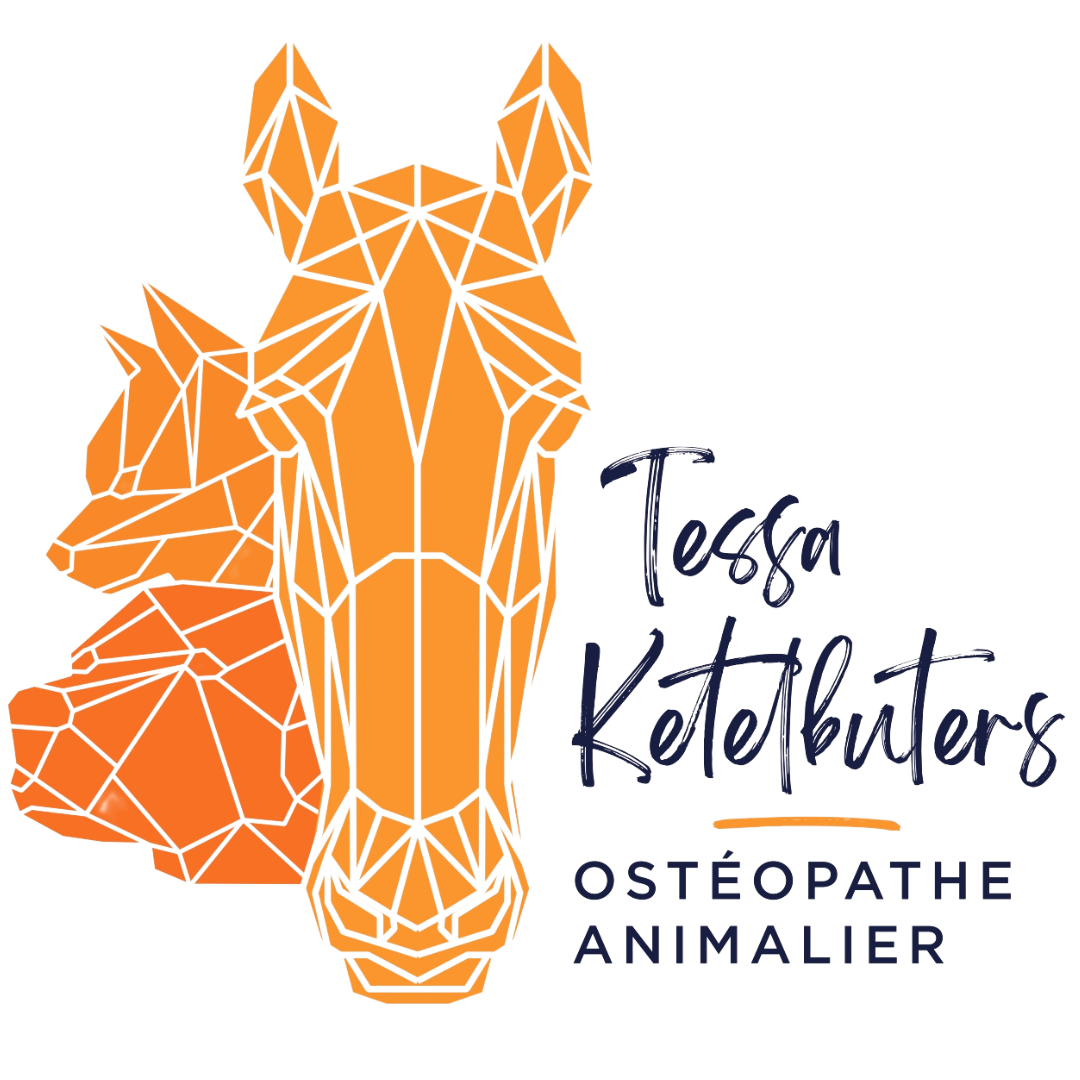 TESSA Katelbuters - Logo