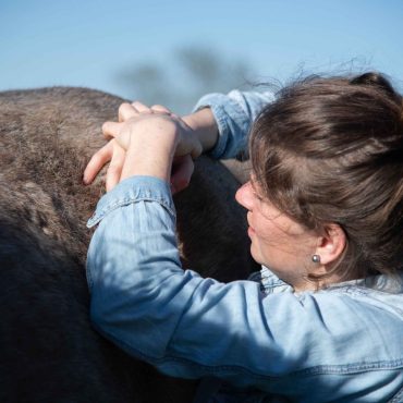 Ostéopathie animale Tessa Servian