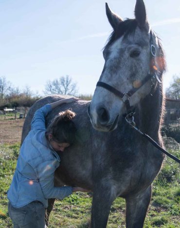 Ostéopathie animale Tessa Servian