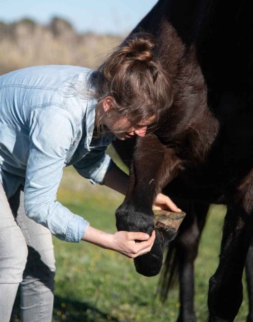 Ostéopathie animale Tessa Servian