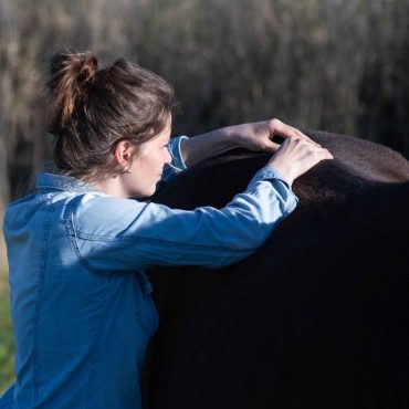 Ostéopathie animale Tessa Servian